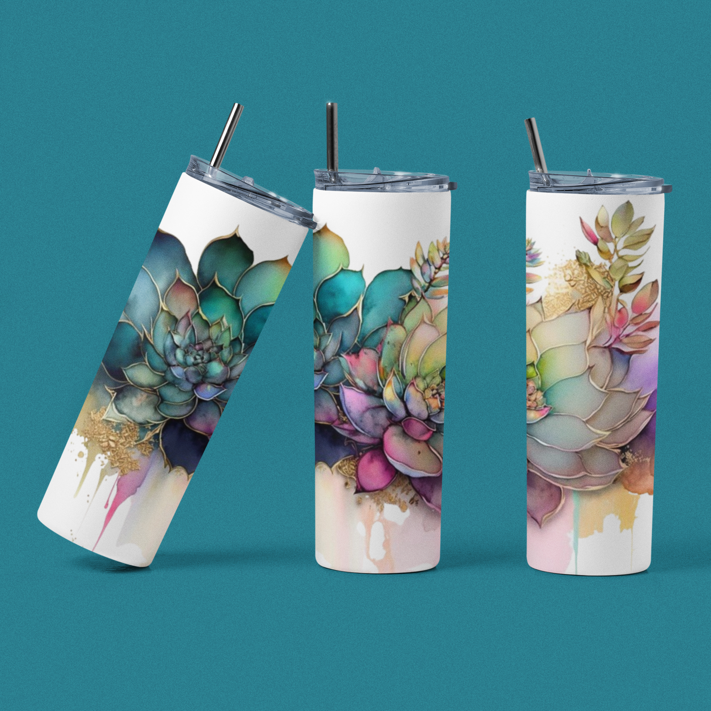 Succulent Plants